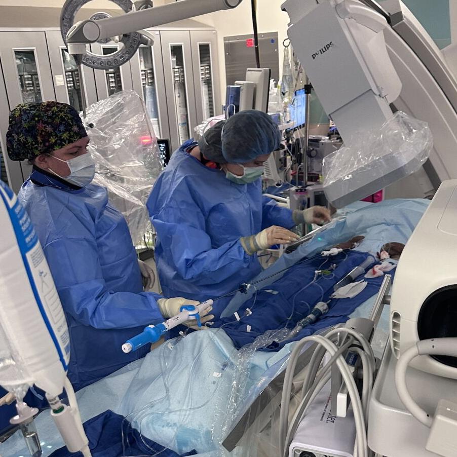 Cath lab - leadless pacemaker.jpeg